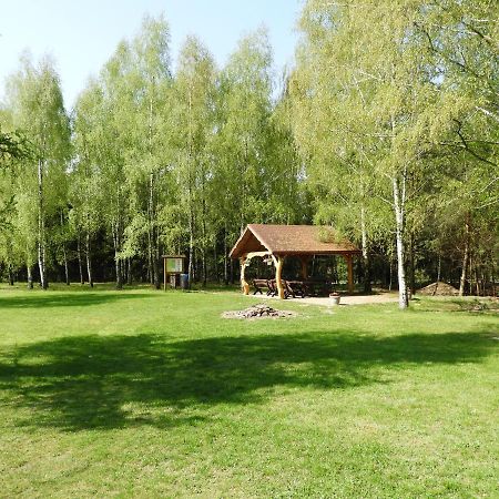 Dom Nasutow Villa Niemce Екстериор снимка